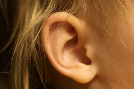 Човешко ухо